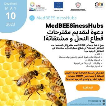 Call To Boost The Bee-Economy Sector In Egypt