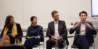 Global Platform for Action Climate and Sustainability Academy Fellowship
